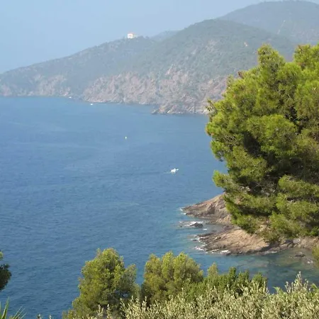 Villa Cavalaire-sur-mer, 2 Pieces, 4 Personnes - Fr-1-100-202 *