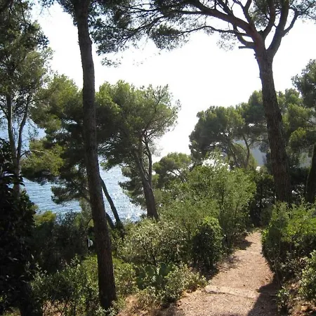 فيلة Cavalaire-sur-mer, 2 Pieces, 4 Personnes - Fr-1-100-202